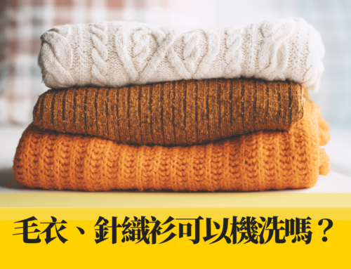 毛衣、針織衫可以機洗嗎？專家教你正確清洗與保養秘訣